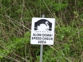 Slow Down!.JPG