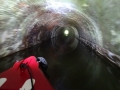 Snarestone Tunnel (5).JPG