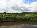 View from moorings.JPG