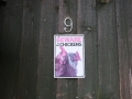 Beware of the chickens!