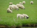 Braunston (5)