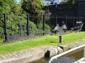 Dallow Lane Lock in Burton (2)
