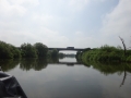 M5 bridge