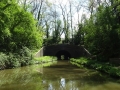 Newbold Tunnel (2)