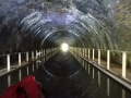 Newbold Tunnel (4)