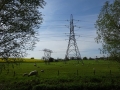 Pylons (1)