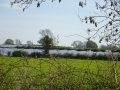 Solar Farm (1)