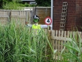 Speed trap!
