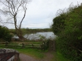 View from Tatenhill Lock (1)