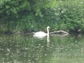 View from mooring on the river at Worcester (6)