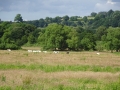 View from moorings at Bratch (1)