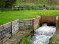 Wychnor Lock runoff