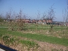Barton Marina