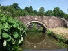 Bridge 50 at Consall
