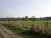 View if Cannock Chase
