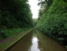 Cowley Tunnel Cutting