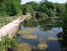 Froghall Basin