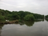 Higher Poynton