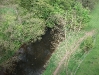 The River Dane