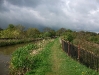 Leaden Skies at Bosley