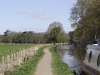 Moorings Near Shugborough Hall