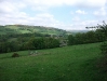 Peak Forest Scenery