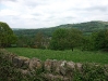 Peak Forest Scenery
