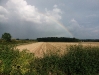 Rainbow over the field
