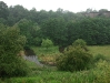 River Dane at Congleton
