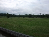 Looking toward Stanley Moss from Endon