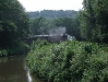 Steam Train