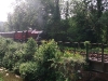 Steam Train