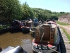 Sunday Afternoon Chaos!