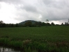 The Cloud