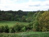 Viaduct Across the Valley - Congleton