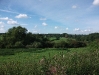 Church Minshull