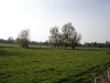 VIew from the moorings at Shugborough