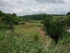 View from Hazlehurst Aquaduct