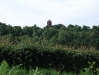 Water Tower