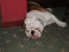 Charlie's Asleep
