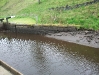 Low water