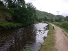 Restored water level