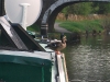 Ducks on B and B\'s boat