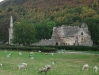 valle-crucis-abbey-2