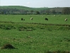 Gargrave
