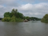 eel-pie-island