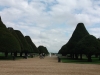 yew-trees-in-the-great-fountain-garden