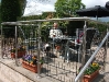 The Queen's Head - Congleton