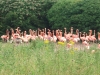 caribbean-flamingoes-2