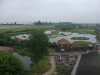 view-from-sloane-tower-slimbridge-3
